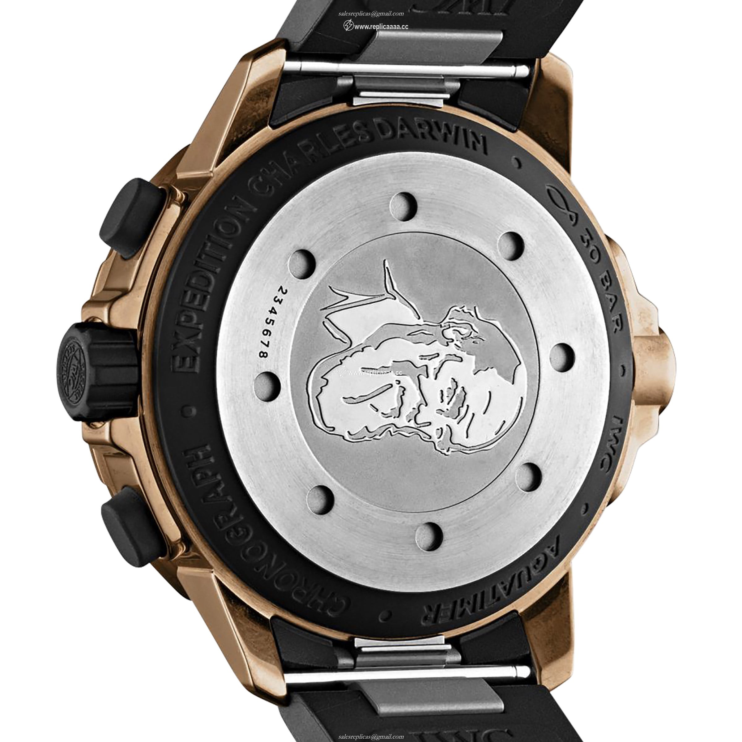 Replica IWC Aquatimer 'Expedition Charles Darwin' 44mm Mens details IW379503
