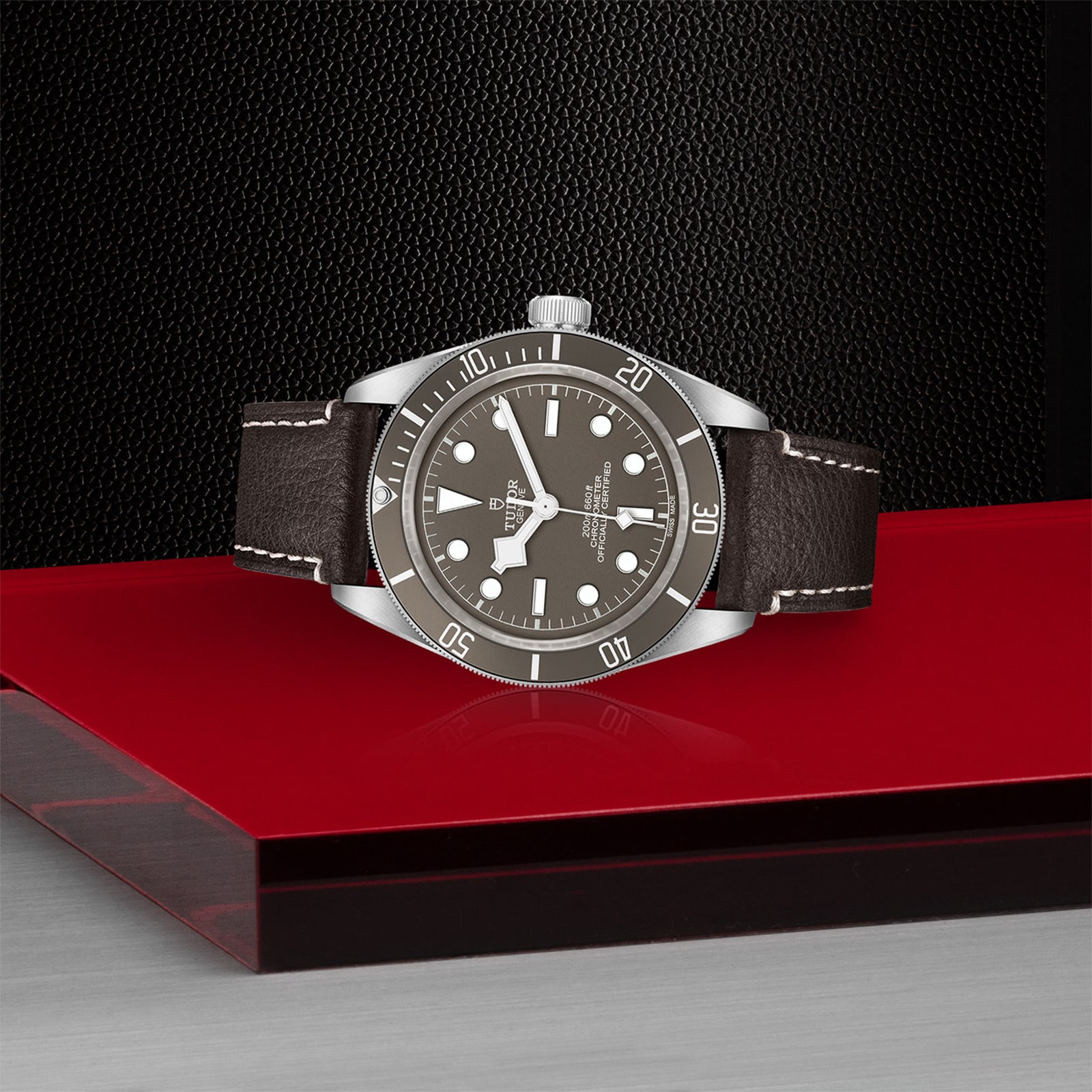 Replica Tudor Black Bay Fifty-Eight 925 M79010SG-0001 2 Replica Tudor Black Bay Fifty-Eight 925 M79010SG-0001