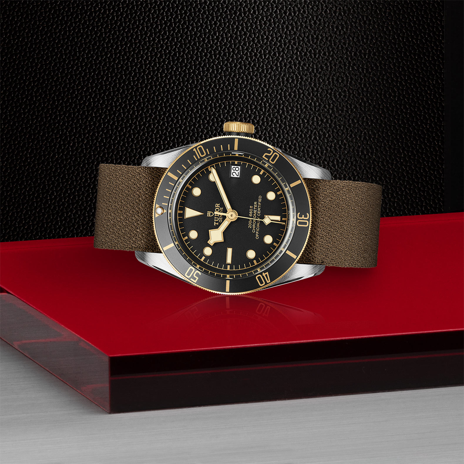 Replica Tudor Black Bay S G M79733N-0005 2 Replica Tudor Black Bay S G M79733N-0005