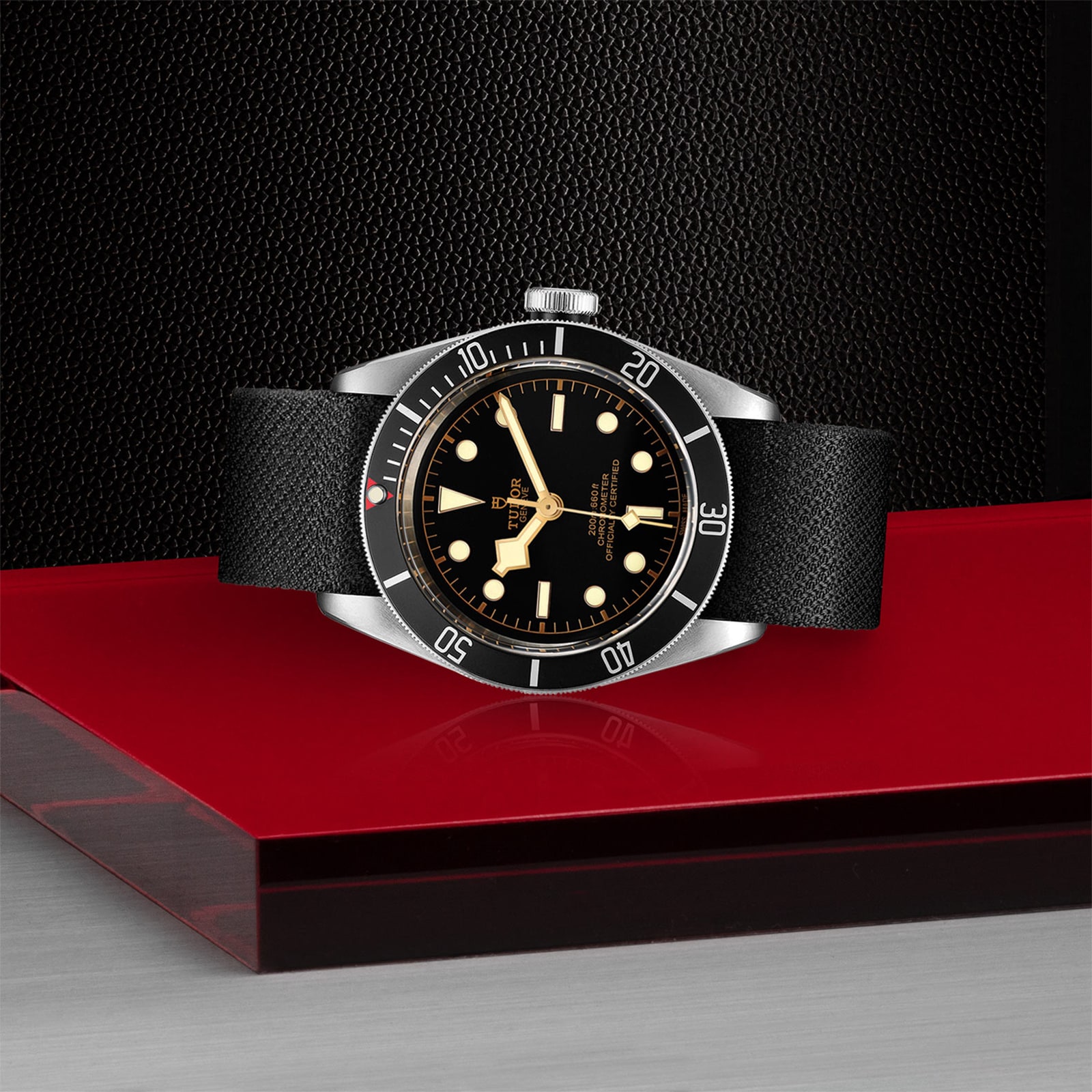 Replica Tudor Black Bay M79230N-0005