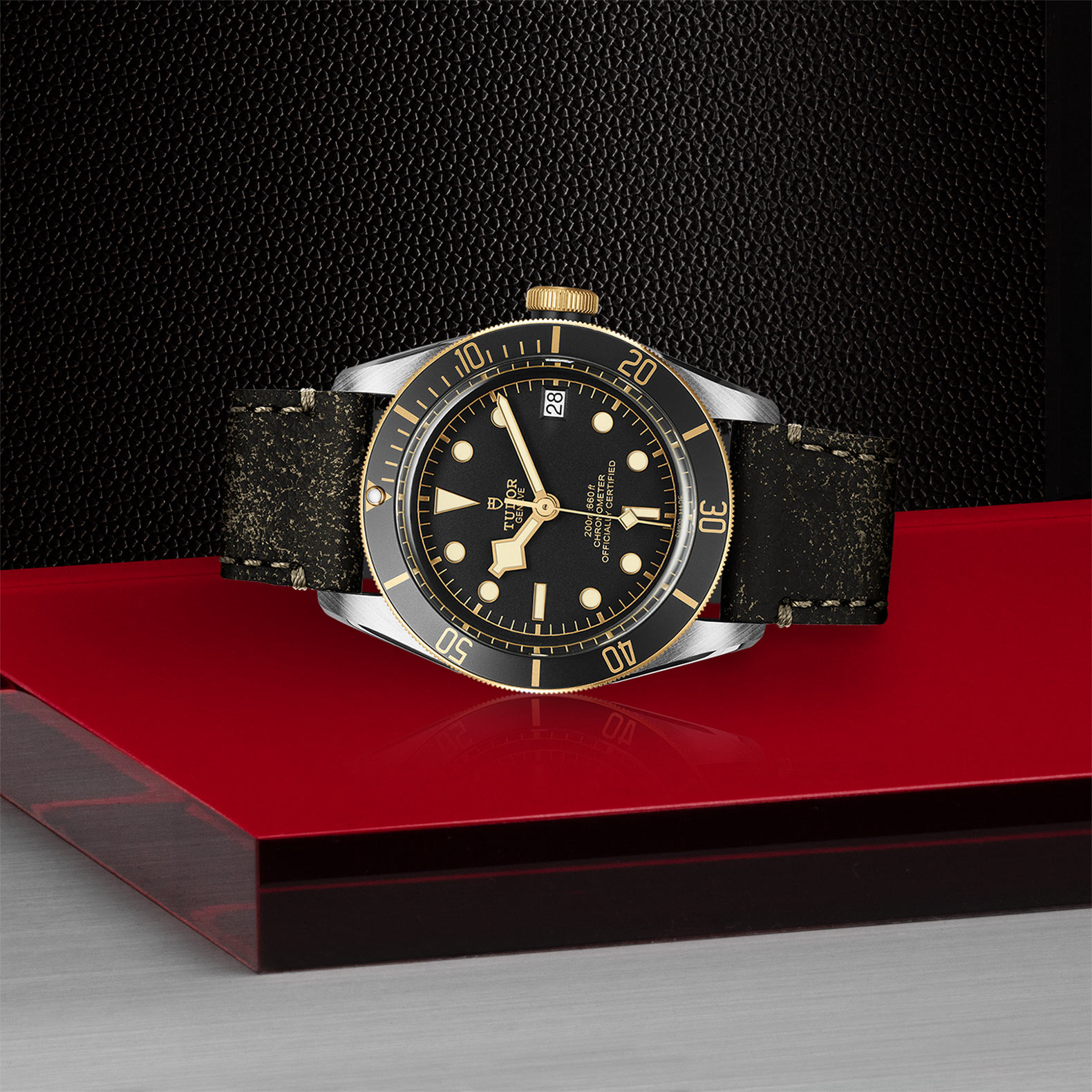 Replica Tudor Black Bay S G M79733N-0007