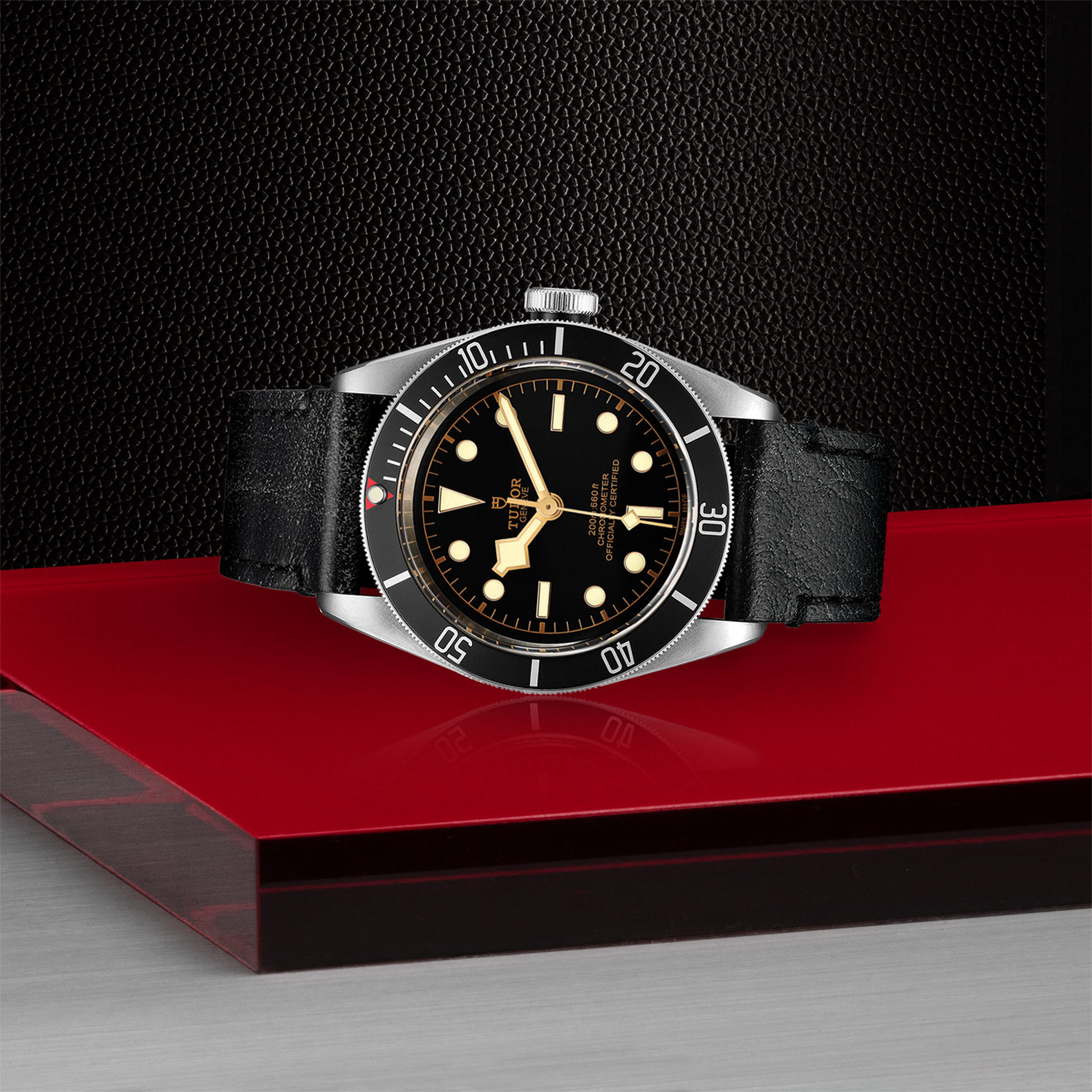 Replica Tudor Black Bay M79230N-0008 2 Replica Tudor Black Bay M79230N-0008