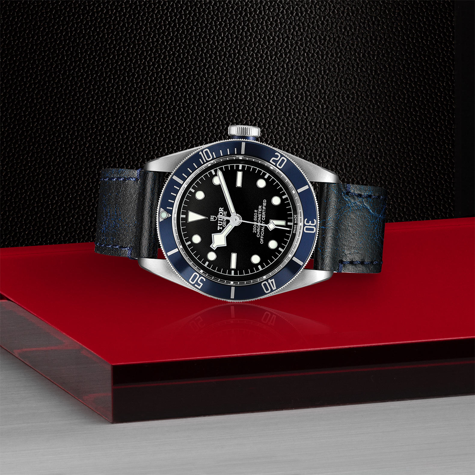 Replica Tudor Black Bay M79230B-0007