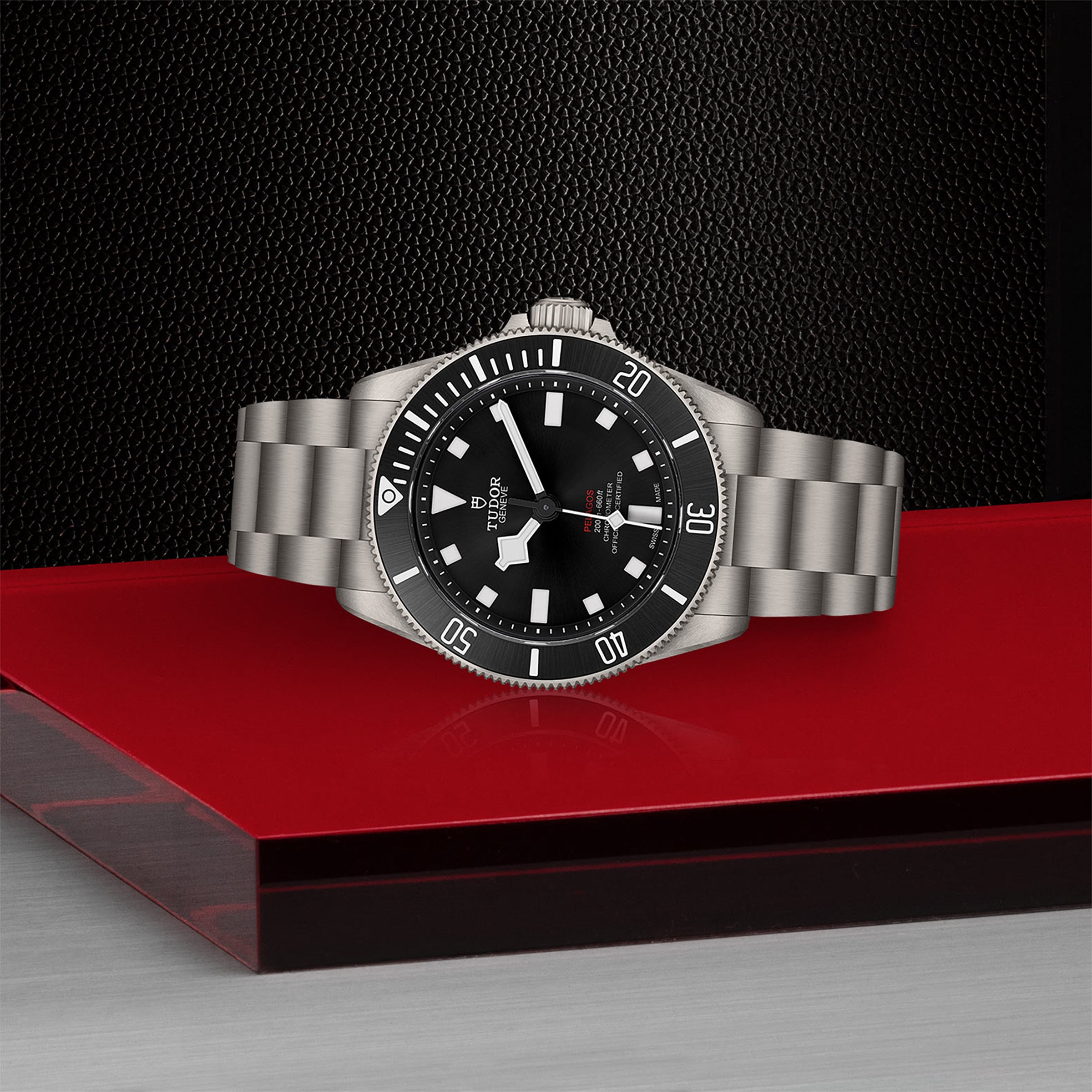 Replica Tudor Pelagos 39 M25407N-0001