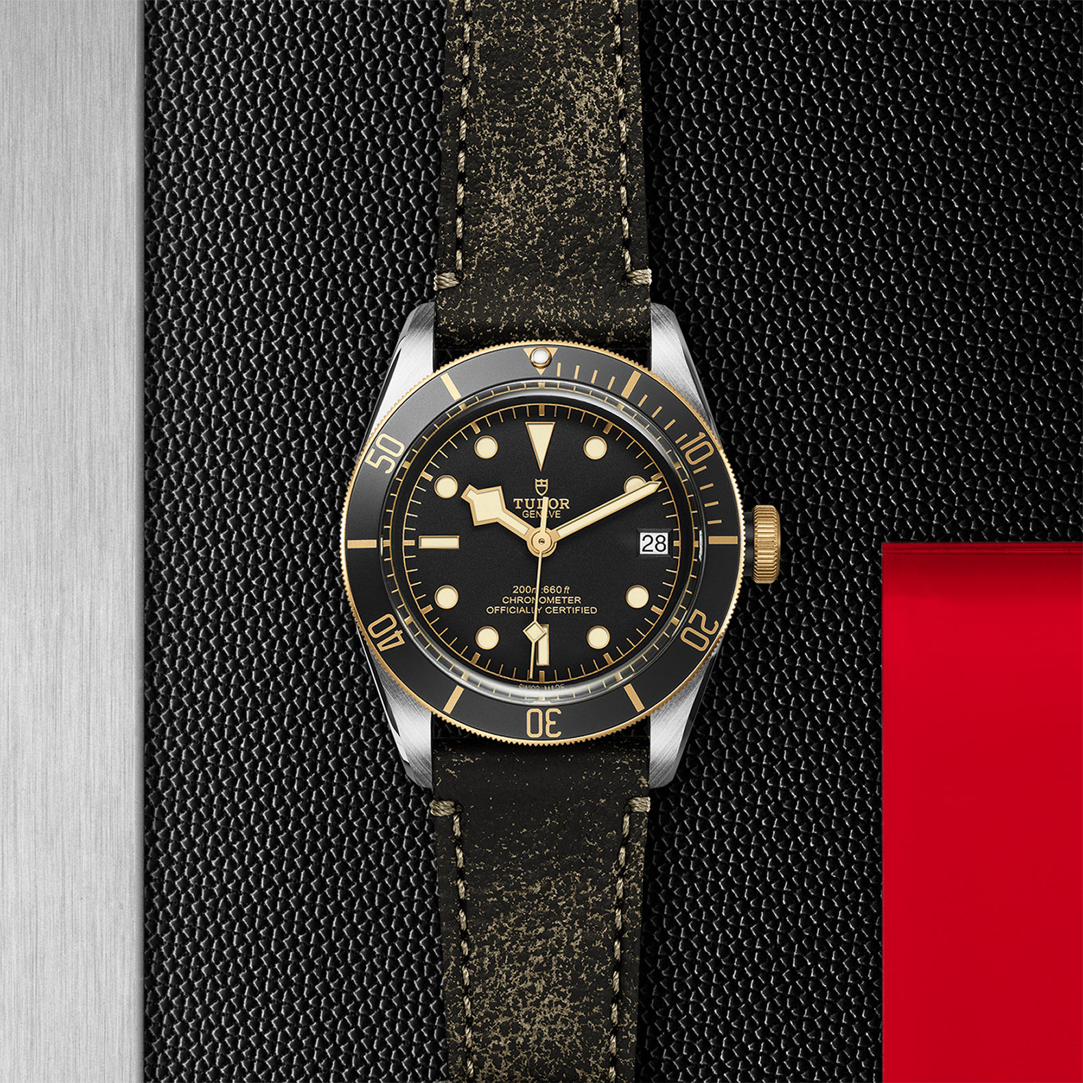 Replica Tudor Black Bay S G M79733N-0007