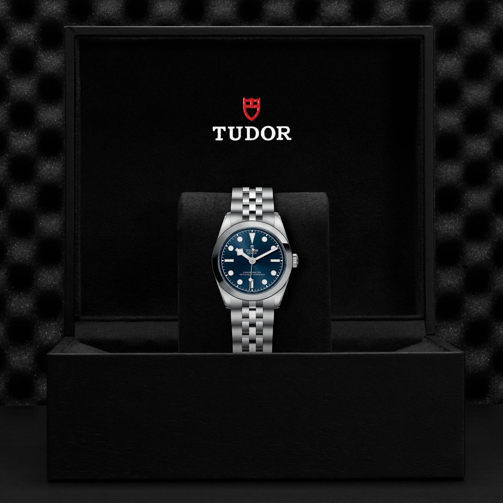 Replica Tudor Black Bay 31 Manufacture Calibre MT5201 (COSC) 31mm Steel Case Steel Bracelet M79600-0002
