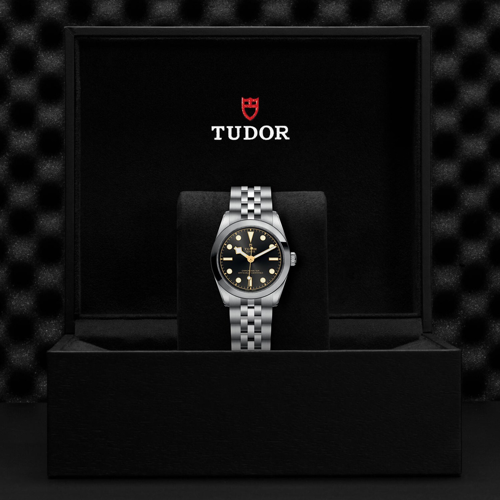 Replica Tudor Black Bay 31 Manufacture Calibre MT5201 (COSC) 31mm Steel Case Steel Bracelet M79600-0001