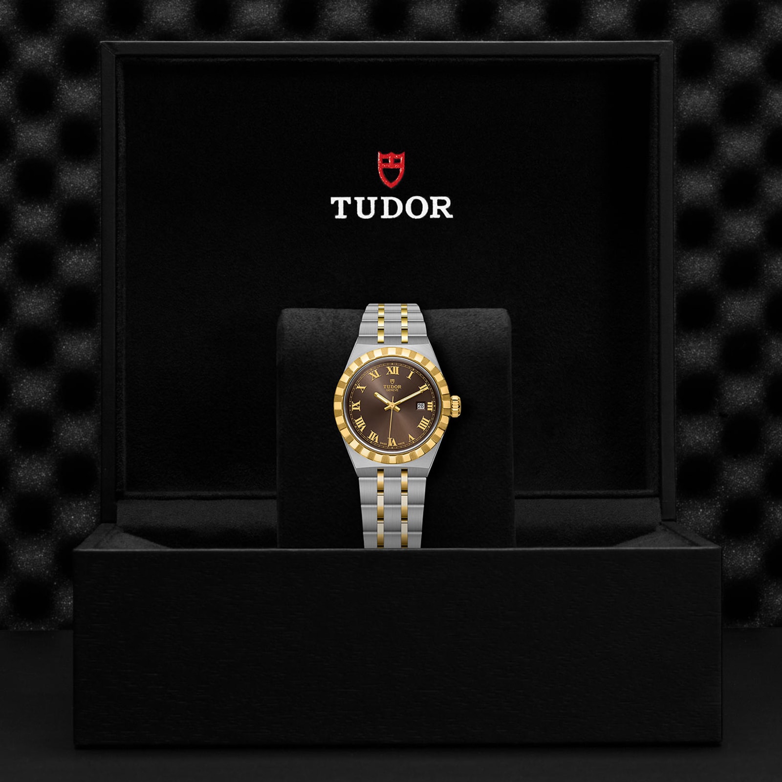 Replica Tudor Royal S G 28mm Steel Case Chocolate Brown Dial M28303-0008