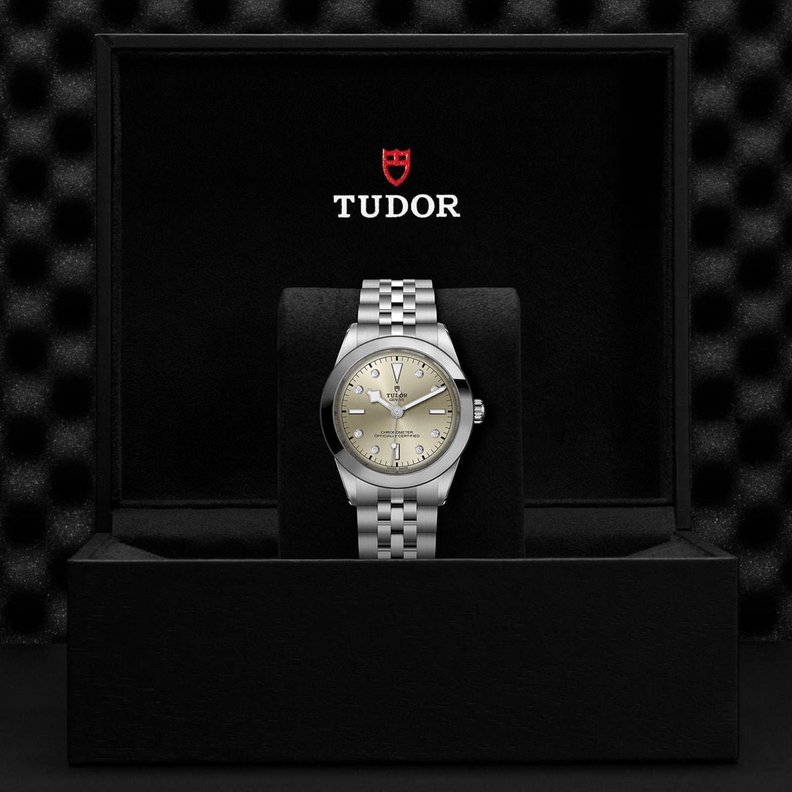 Replica Tudor Black Bay 39 Manufacture Calibre MT5602 (COSC) 39mm Steel Case Steel Bracelet M79660-0006