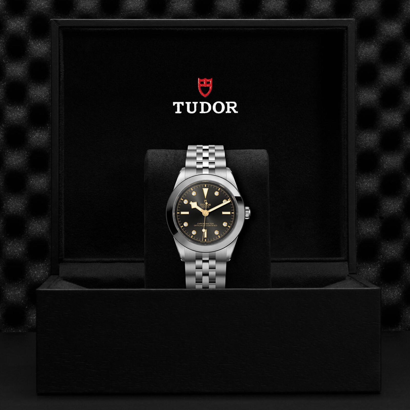Replica Tudor Black Bay 39 Manufacture Calibre MT5602 (COSC) 39mm Steel Case Steel Bracelet M79660-0004