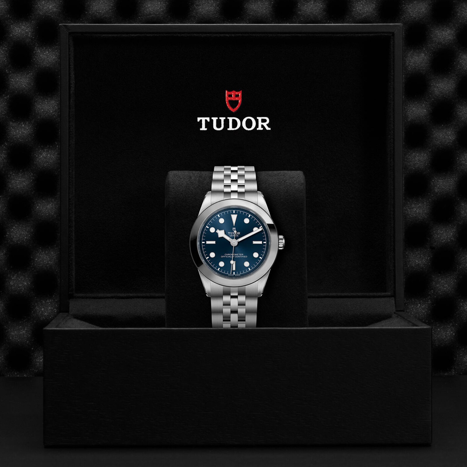 Replica Tudor Black Bay 39 Manufacture Calibre MT5602 (COSC) 39mm Steel Case Steel Bracelet M79660-0002 4 Replica Tudor Black Bay 39 Manufacture Calibre MT5602 (COSC) 39mm Steel Case Steel Bracelet M79660-0002