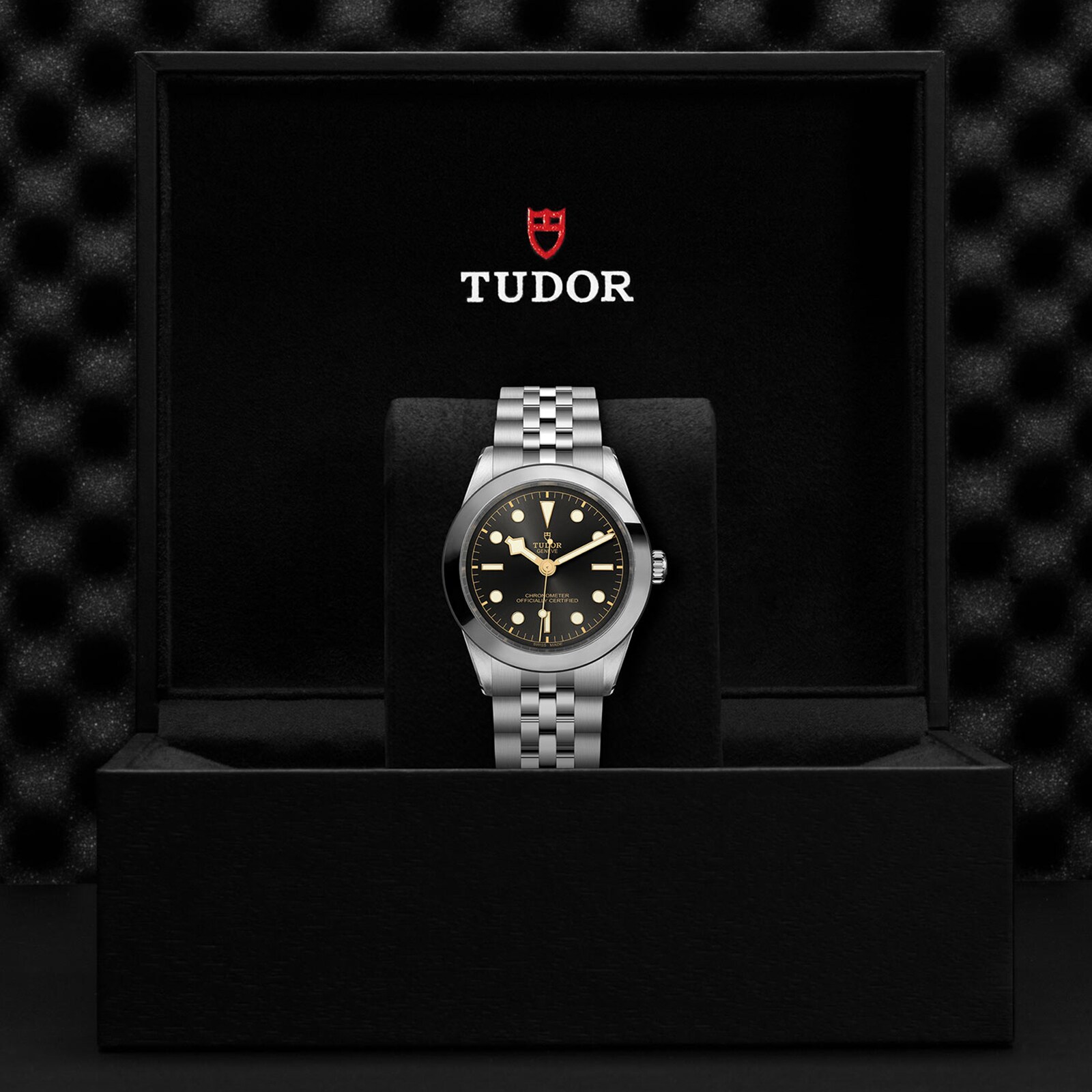 Replica Tudor Black Bay 39 Manufacture Calibre MT5602 (COSC) 39mm Steel Case Steel Bracelet M79660-0001 4 Replica Tudor Black Bay 39 Manufacture Calibre MT5602 (COSC) 39mm Steel Case Steel Bracelet M79660-0001