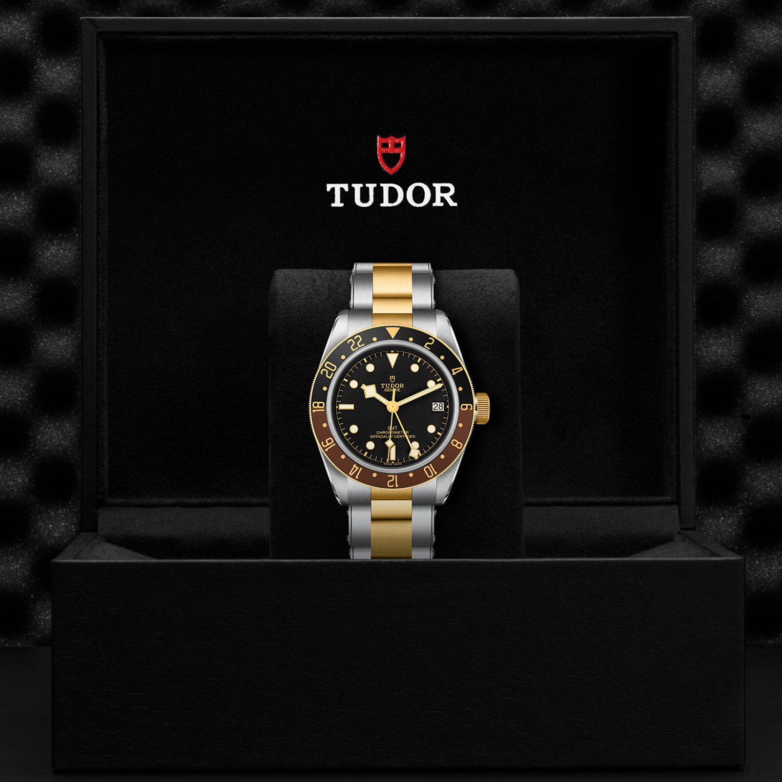 Replica Tudor Black Bay GMT S G 41mm M79833MN-0001