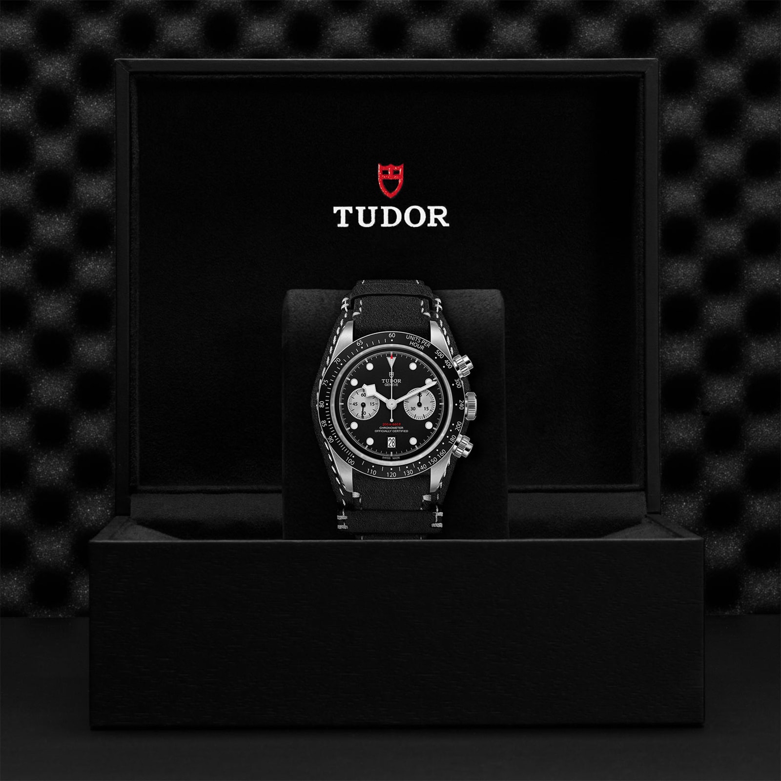 Replica Tudor Black Bay Chrono M79360N-0005