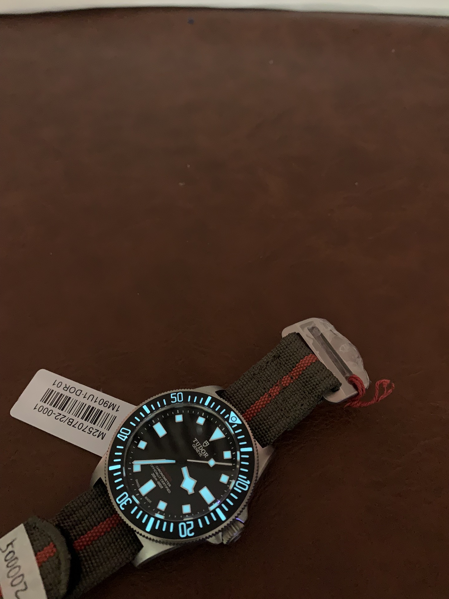 Replica Tudor Mens Pelagos M25600TB-0001 FXD 5 Replica Tudor Mens Pelagos M25600TB-0001 FXD