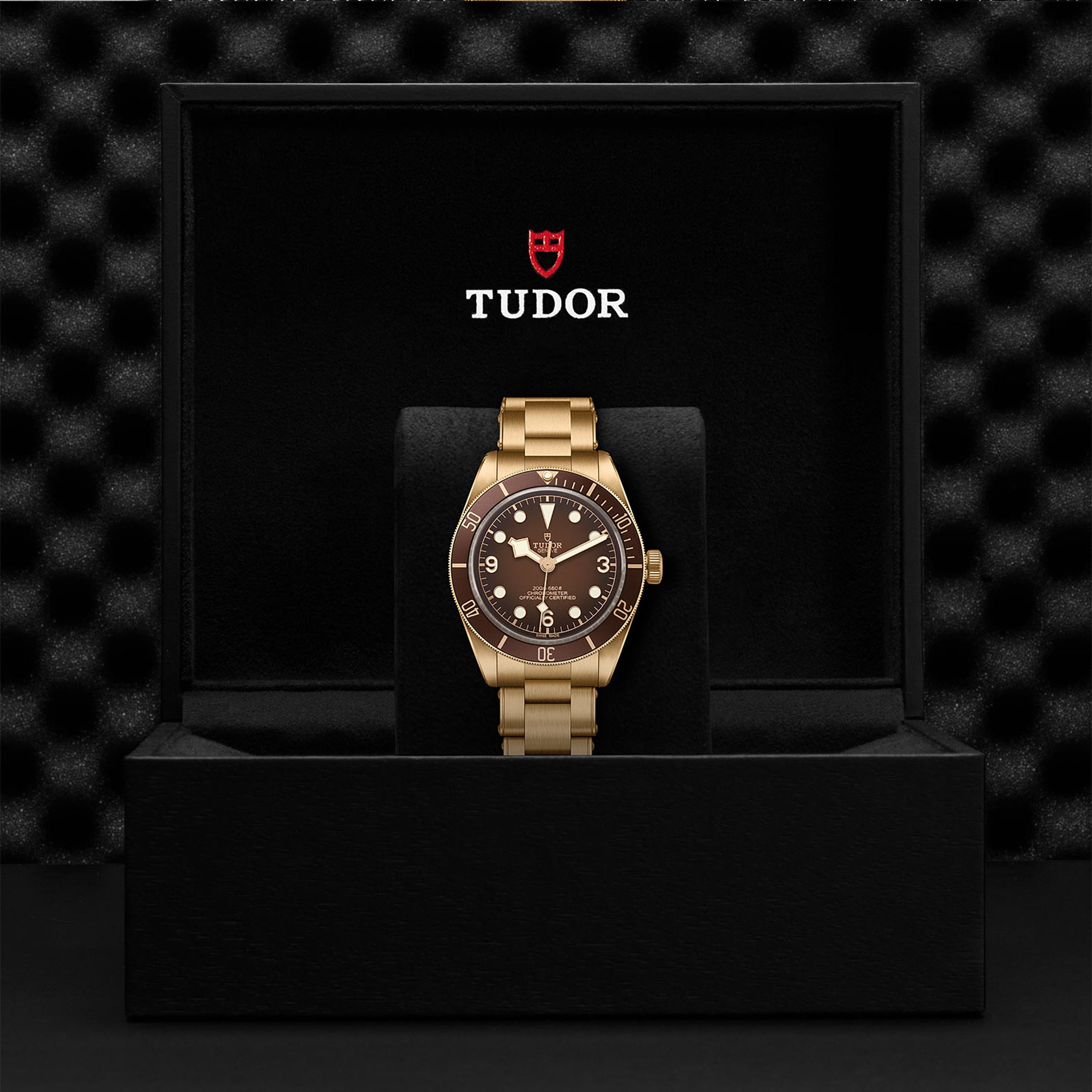 Replica Tudor Exclusive Boutique Edition Black Bay Fifty-Eight Bronze M79012M-0001 5 Replica Tudor Exclusive Boutique Edition Black Bay Fifty-Eight Bronze M79012M-0001