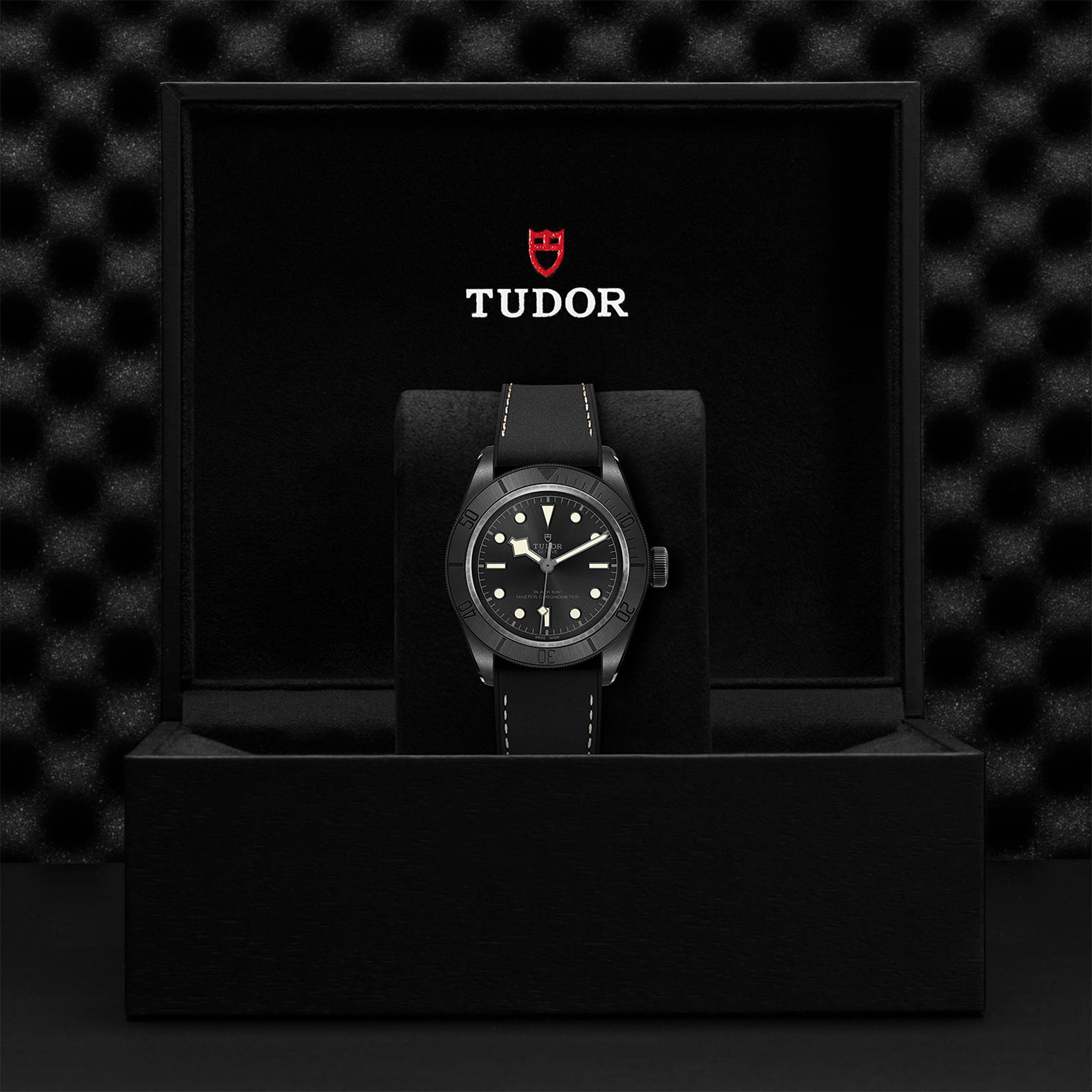 Replica Tudor Black Bay Ceramic M79210CNU-0001