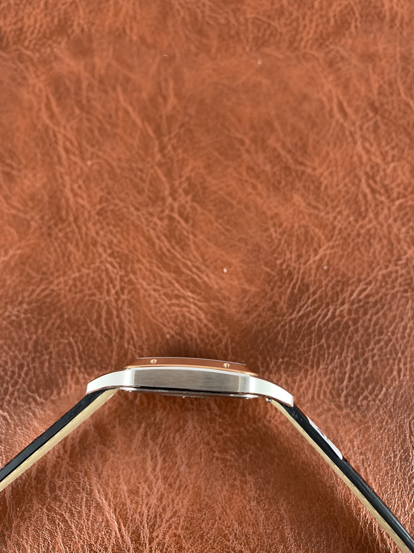 Replica Cartier Ladies W2SA0012