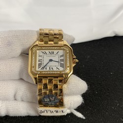 Cartier Ladies Panthere Secrete De Ladies