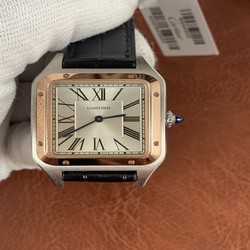Cartier Ladies W2SA0012