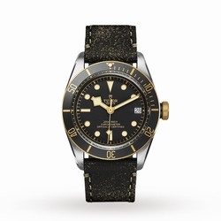 Tudor Black Bay S G M79733N-0007