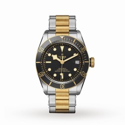 Tudor Black Bay S G 41mm Stainless Steel M79733N-0008