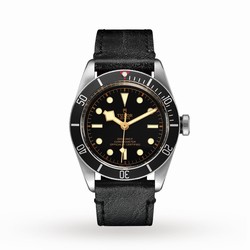 Tudor Black Bay M79230N-0008