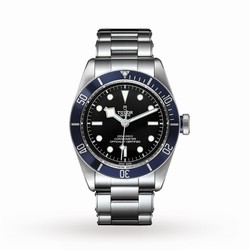 Tudor Black Bay 41mm Stainless Steel M79230B-0008