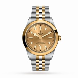 Tudor Black Bay 41 S G M79683-0005