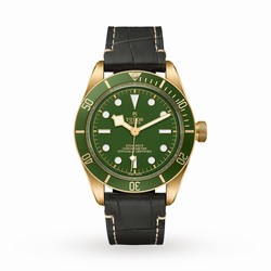 Tudor Black Bay Fifty-Eight 18k M79018V-0002