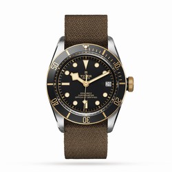 Tudor Black Bay S G M79733N-0005