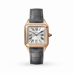 Cartier Santos-Dumont details Small Model Quartz Movement Rose Gold Leather WGSA0022