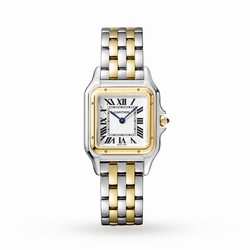 Cartier Panthere De Cartier details Medium Model Quartz Movement Yellow Gold Steel W2PN0007