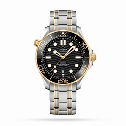 Omega Seamaster Pro-Diver 300 Mens details O21020422001002