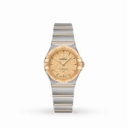 Omega Constellation Manhattan 25mm Ladies details O13120256008001