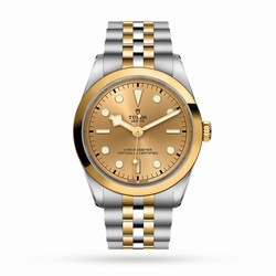Tudor Black Bay 36 S G M79643-0005