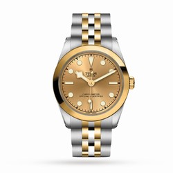 Tudor Black Bay 31 S G M79603-0005
