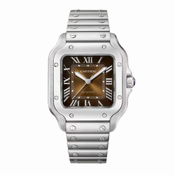 Cartier Santos De Cartier details Medium Model Automatic Winding Steel Case Interchangeable Leather Strap WSSA0065