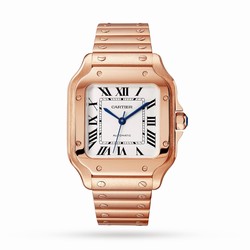 Cartier Santos De Cartier details Medium Model Mechanical Movement With Automatic Winding WGSA0031