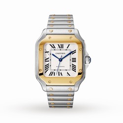 Cartier Santos De Cartier details Medium Model Automatic Movement Yellow Gold Steel Interchangeable Metal And Leather Bracelets W2SA0016