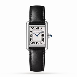 Cartier Tank Must details Small Model Photovoltaic Solarbeat Movement Steel Case WSTA0060