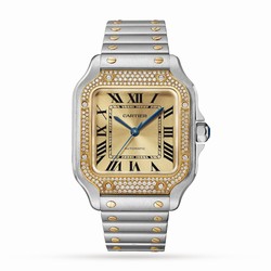 Cartier Santos De Cartier Medium Model Mechanical Movement With Automatic Winding W3SA0007